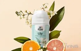 Buy 1 Get 1 - Fabric Spray